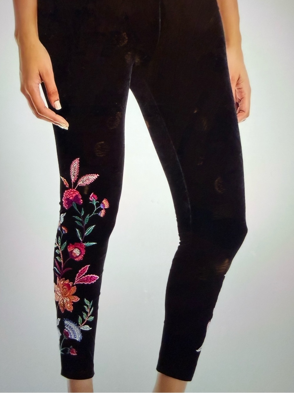 JOHNNY WAS
Sandra Velvet Leggings
NWOT
Size XL